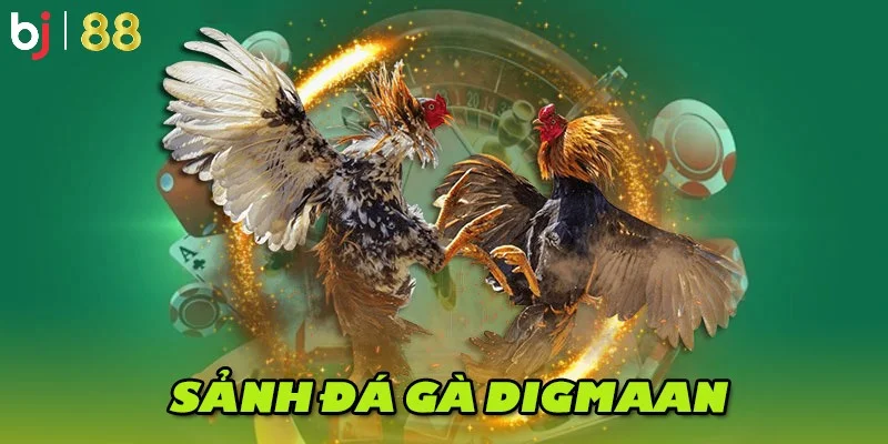 Giới thiệu về sảnh Digmaan đá gà mạng nổi tiếng